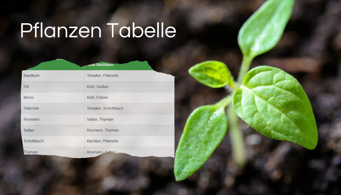 Pflanzen Tabelle