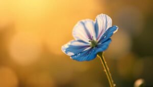 blaue Blume als Symbol der Romantik