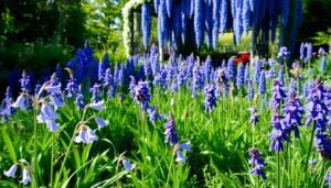 blaue Stauden im Garten