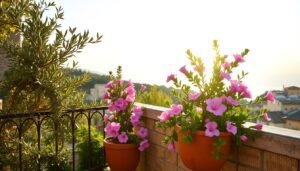 A Mediterranean-style balcony garden with lush, vibrant foliage and warm, natural lighting. In the foreground, a wrought-iron railing is adorned with cascading vines and potted olive trees, their silvery leaves shimmering in the gentle breeze. In the middle ground, a terracotta planter overflows with the delicate blooms of an oleander shrub, its pink flowers contrasting against the weathered stone walls. In the background, a glimpse of the distant horizon, hazy with the soft, golden glow of the Mediterranean sun. The scene exudes a sense of tranquility and timeless elegance, inviting the viewer to step into this oasis of Mediterranean charm.