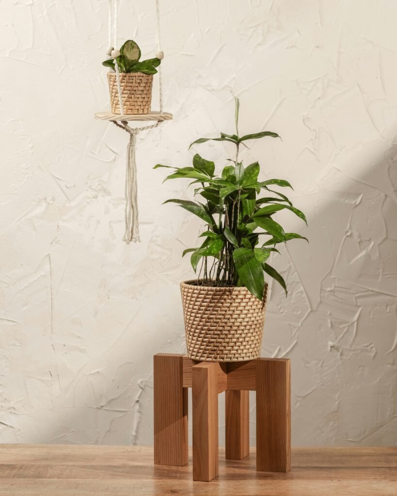 A couple of plants sitting on top of a wooden table