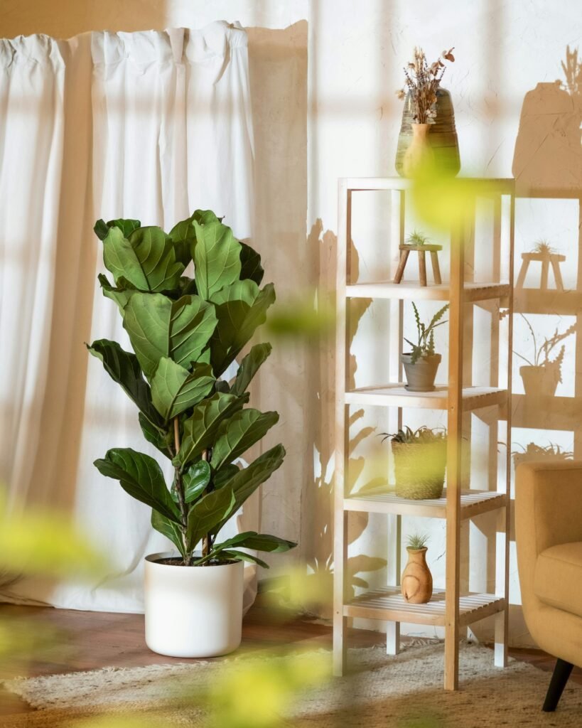 A living room with a chair and a potted plant