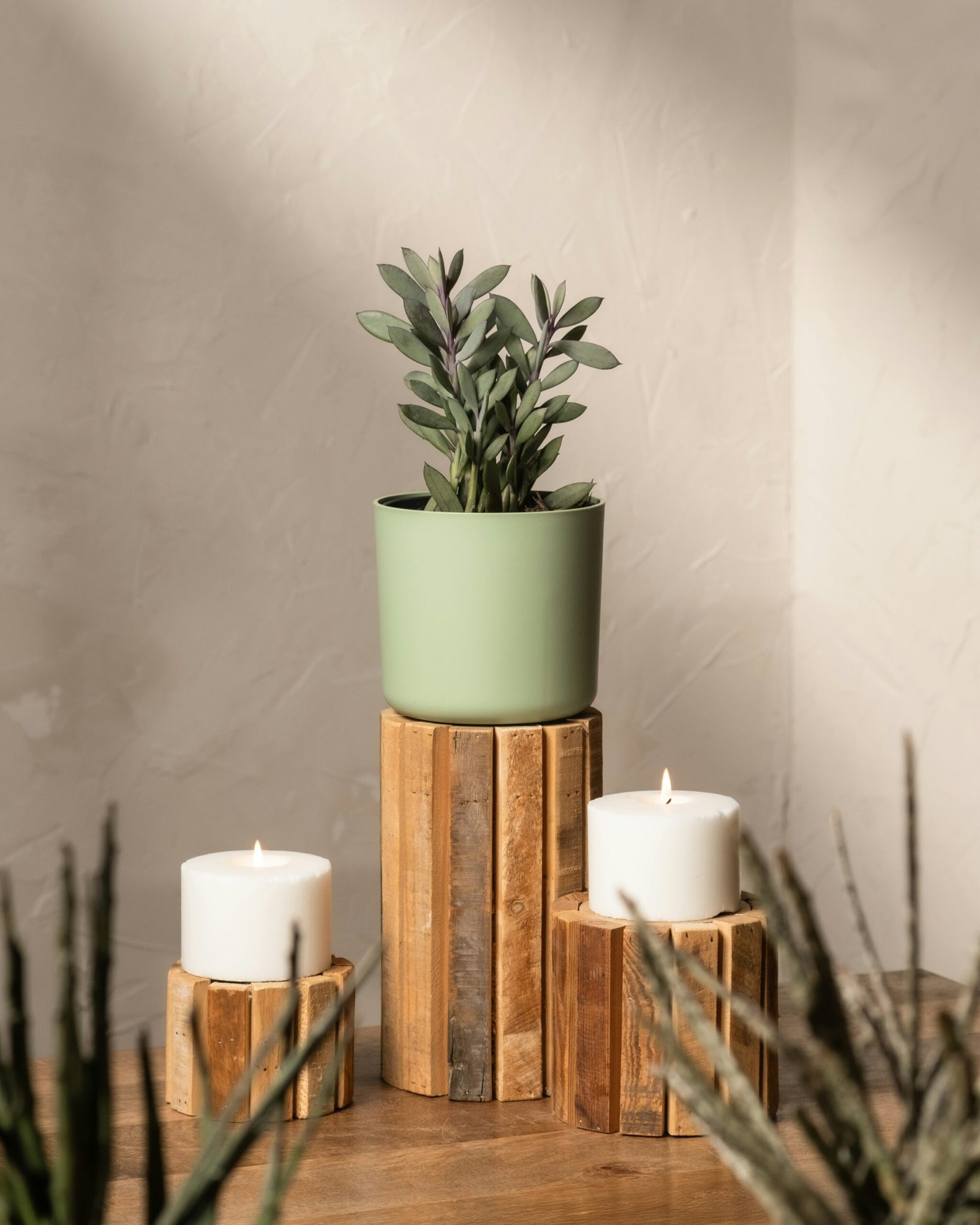 A potted plant sitting on top of a wooden stand