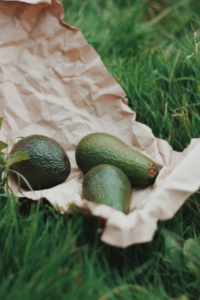 green and brown oval fruits on white textile avocadokern einpflanzen-7