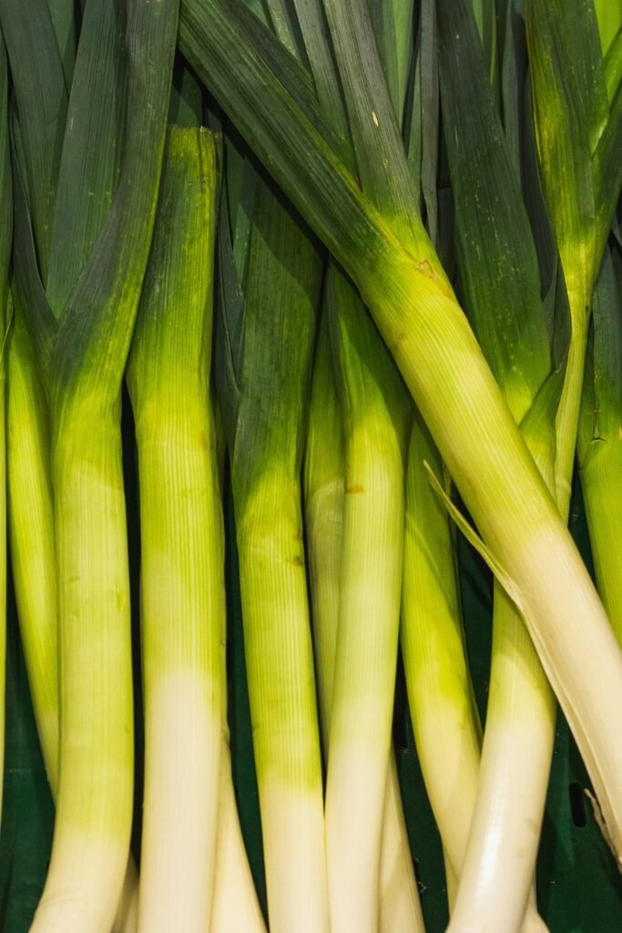 A close up of a bunch of green onions A close up of a bunch of green onions