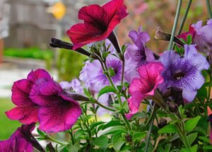 a bunch of flowers that are in a vase