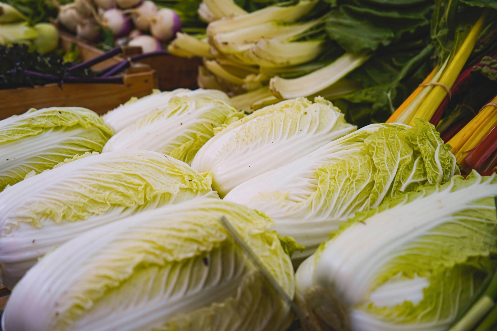 a bunch of white and yellow corn