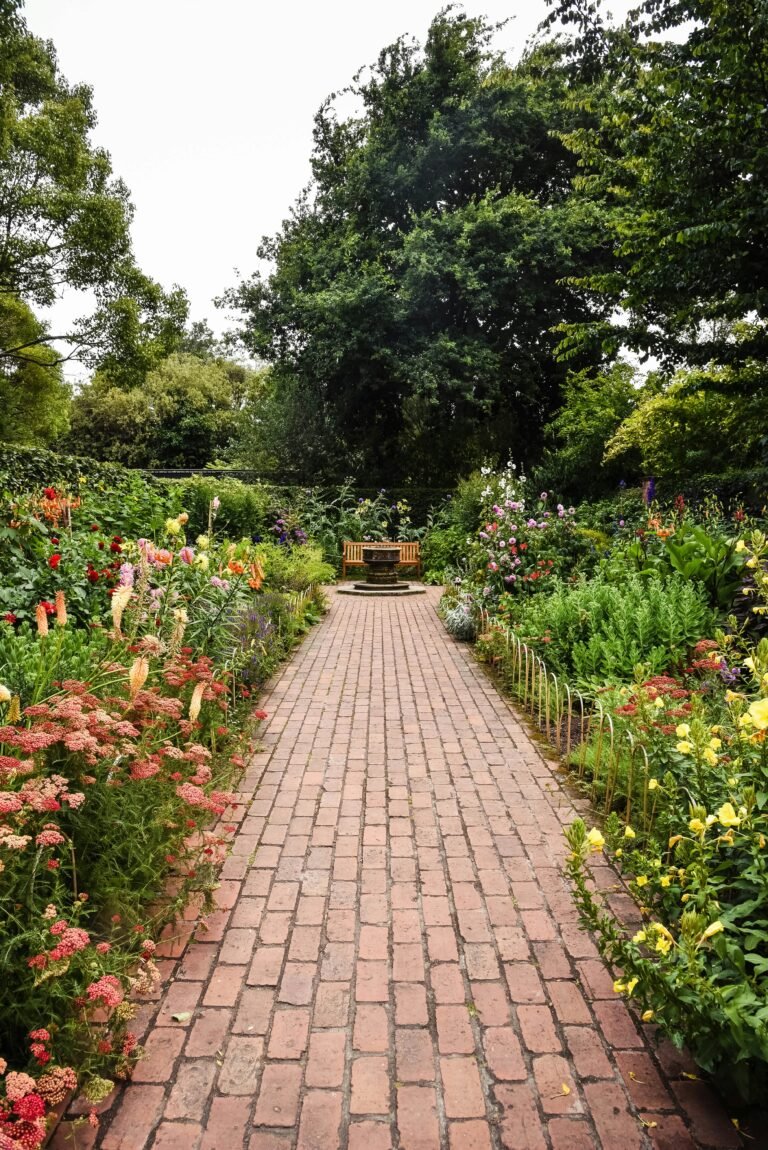 brown brick pathway between green plants during daytime