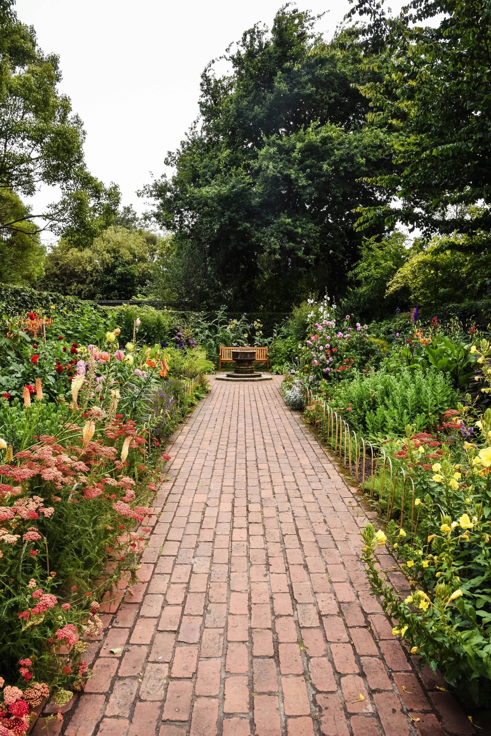 brown brick pathway between green plants during daytime