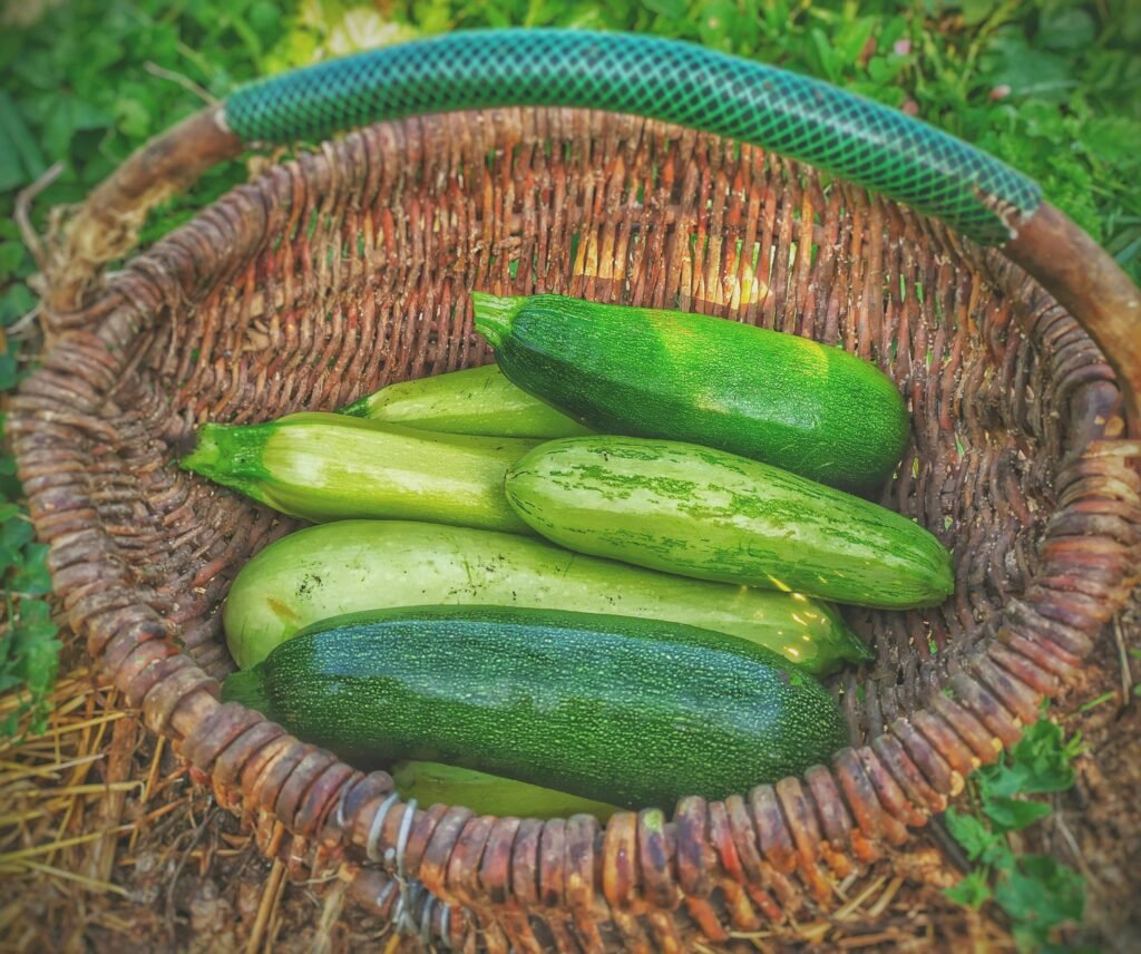 green cucumbers on round brown wicker basket green cucumbers on round brown wicker basket