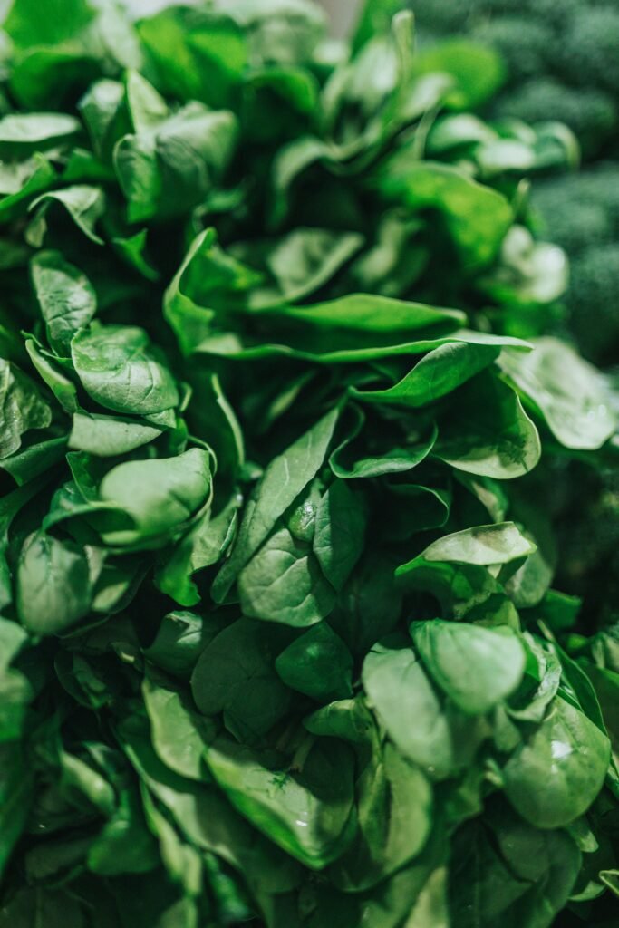 green leafy vegetable Spinat 1