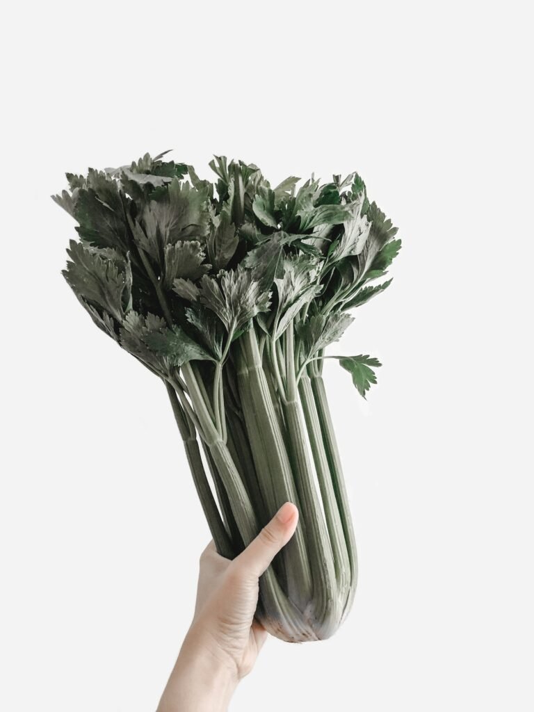 person holding green leaf plant person holding green leaf plant