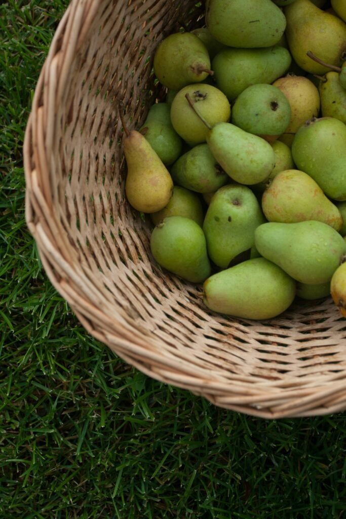 pile of green pears in wicker basket pile of green pears in wicker basket