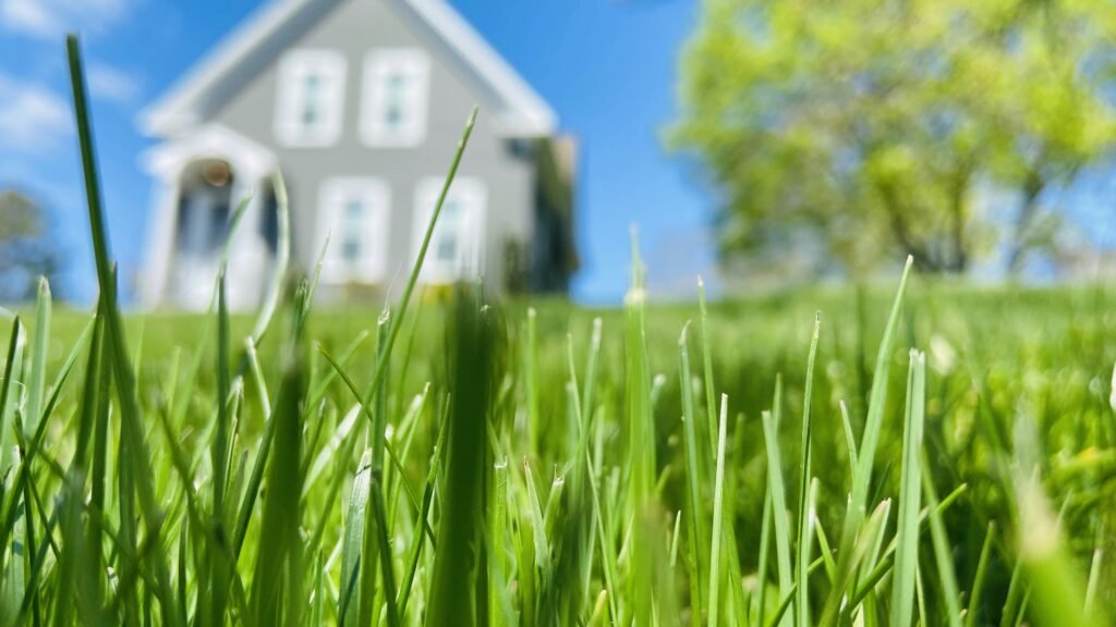 white and blue house in green grass field white and blue house in green grass field