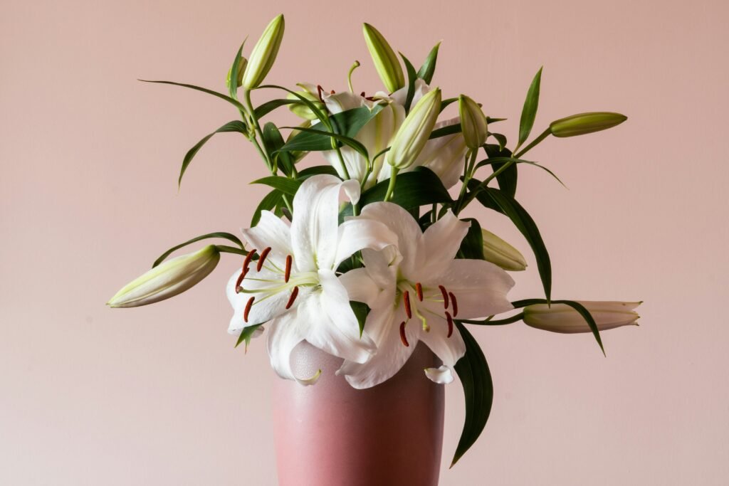 white flowers in pink vase