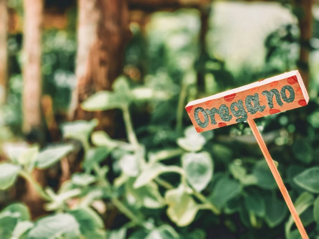Oregano signage Oregano signage