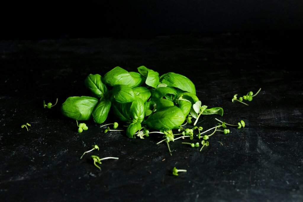 A pile of green peppers sitting on top of a table