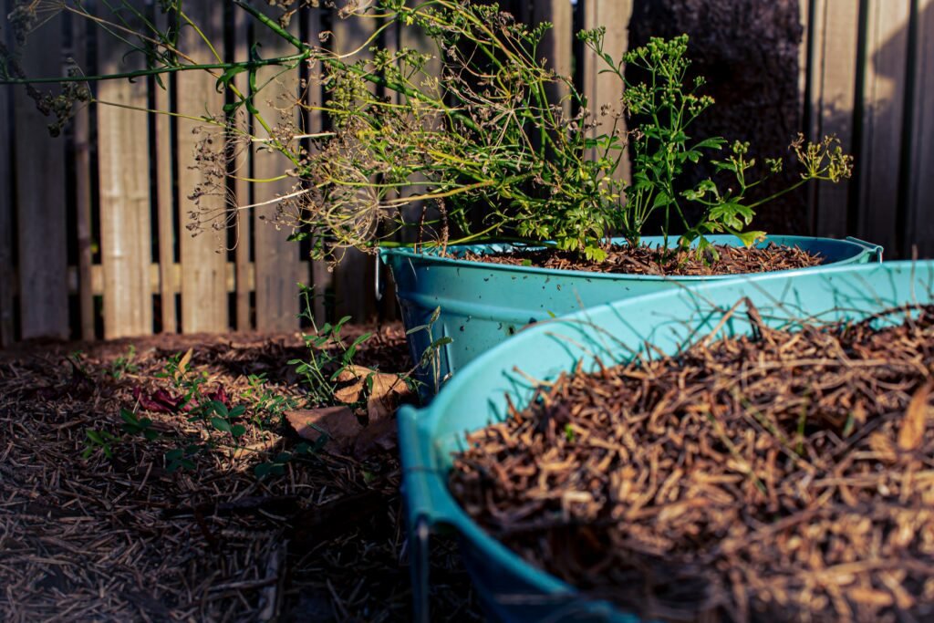 a blue tub with plants in it