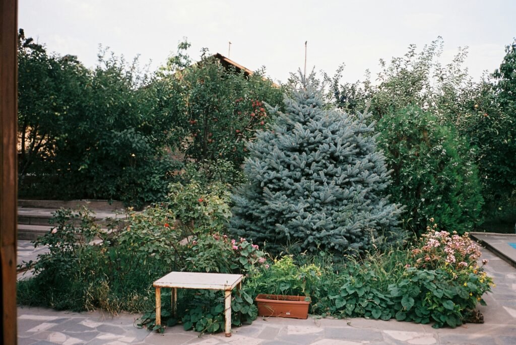 Gartenpflege im Herbst 1